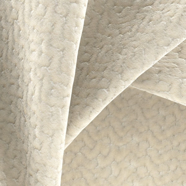 Renata Champagne-main