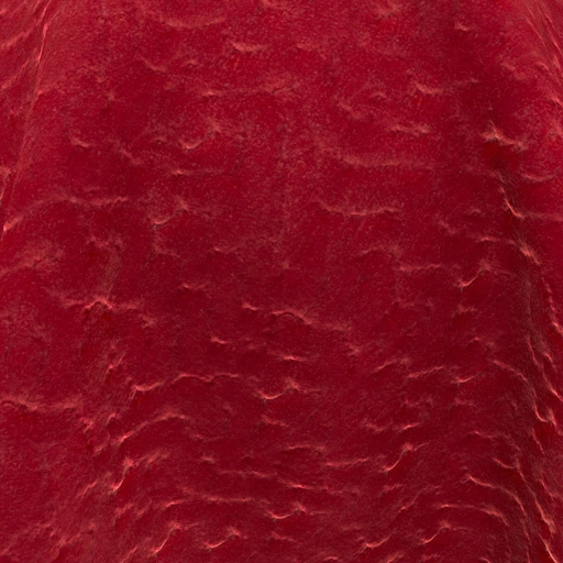 68e120fe12af951763cc7d2a.jpg