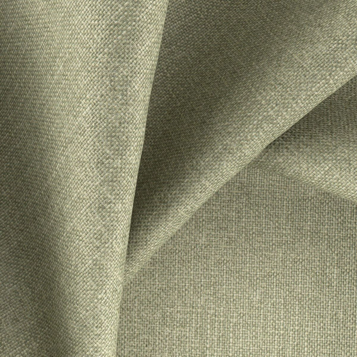 Romney Sage-main