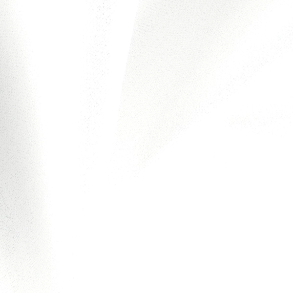 Romney Snow-main