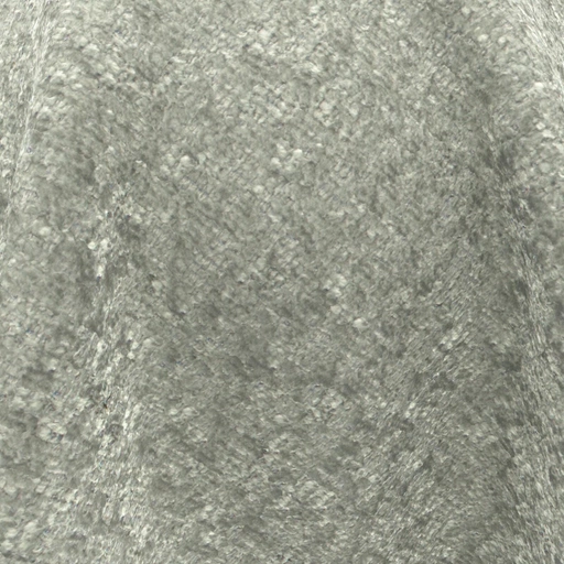 6901417a0d56bf497562957a.jpg