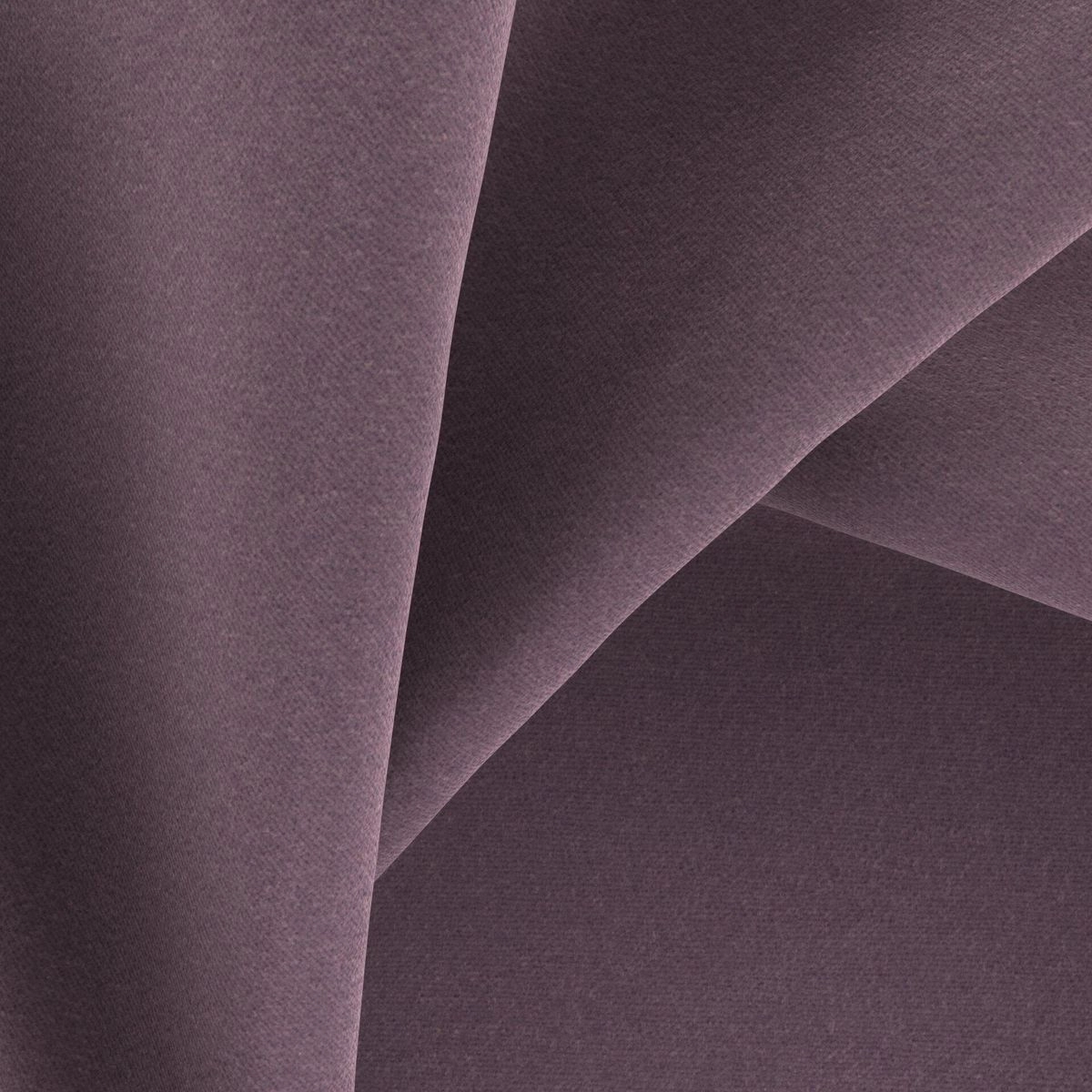 Genesis Plum-main