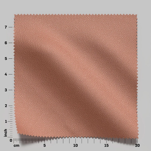 690167680d56bf497564a921.jpg