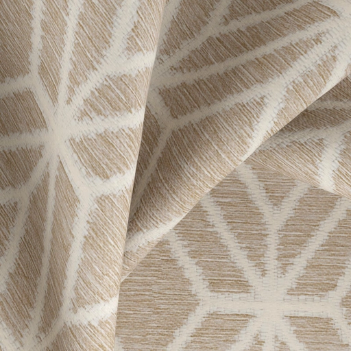 697386a6702f72fd9ca74602.jpg