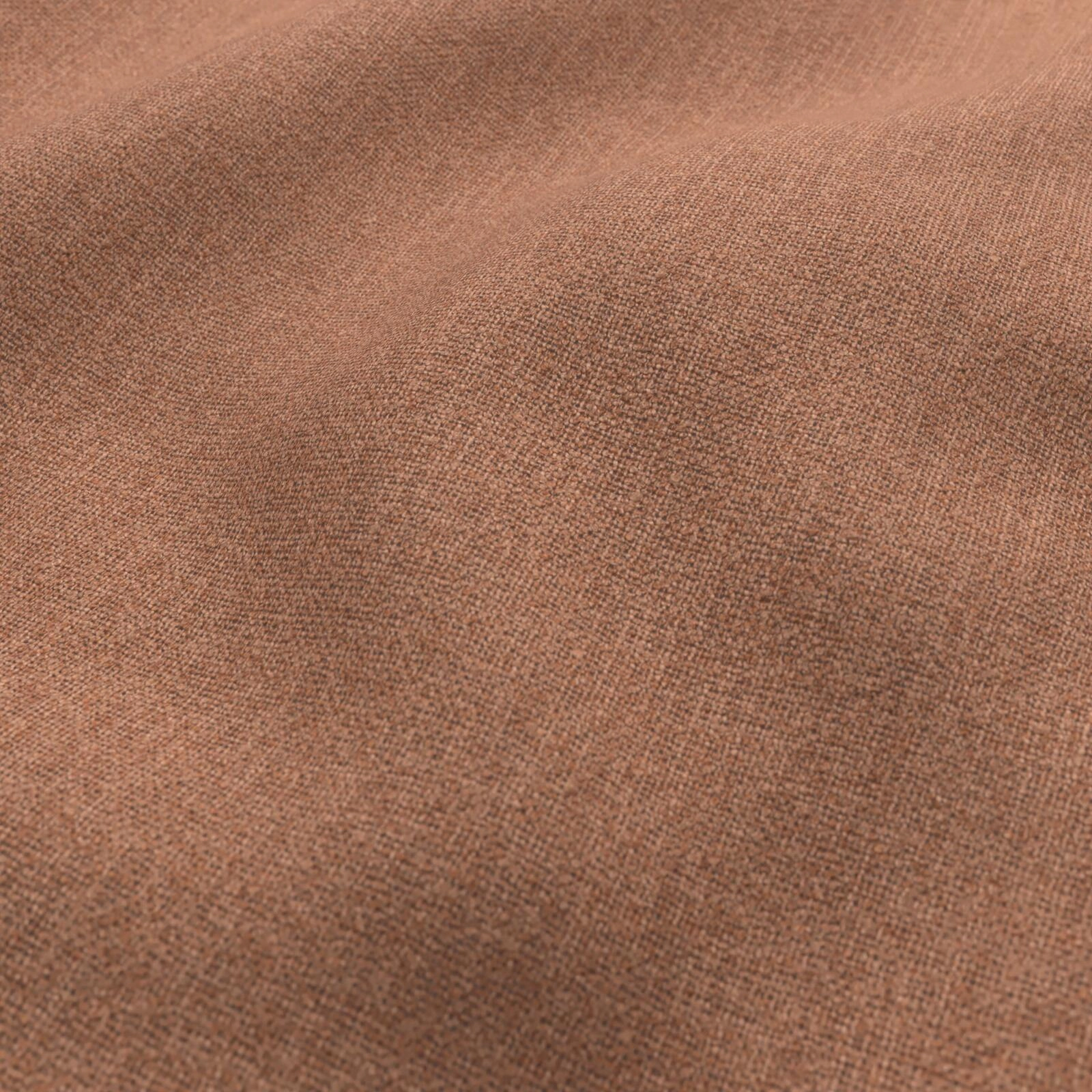 Tekapo_Apricot_54764071730_31.jpg