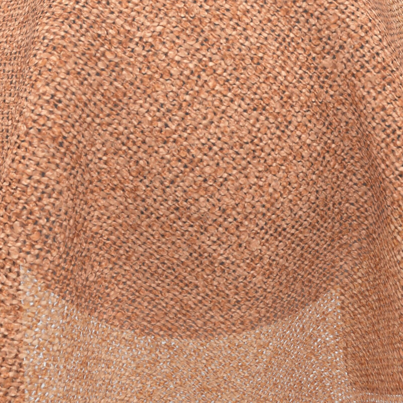 Tekapo_Apricot_54764071730_32.jpg