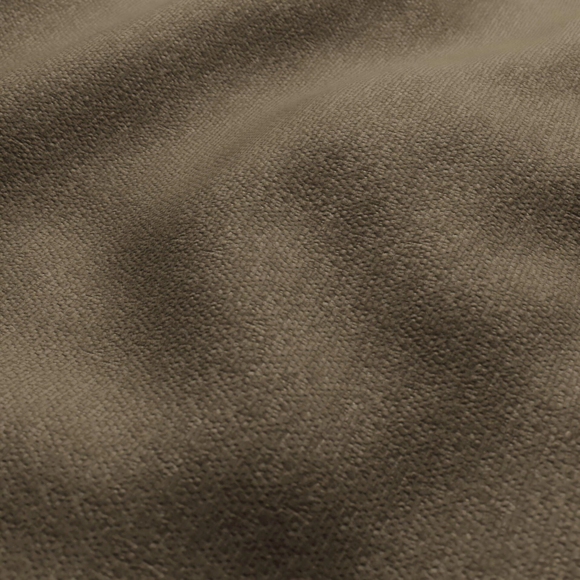 Harvard--07-Bark - 54746440426--Wrinkeled_WR_CloseUp.jpg