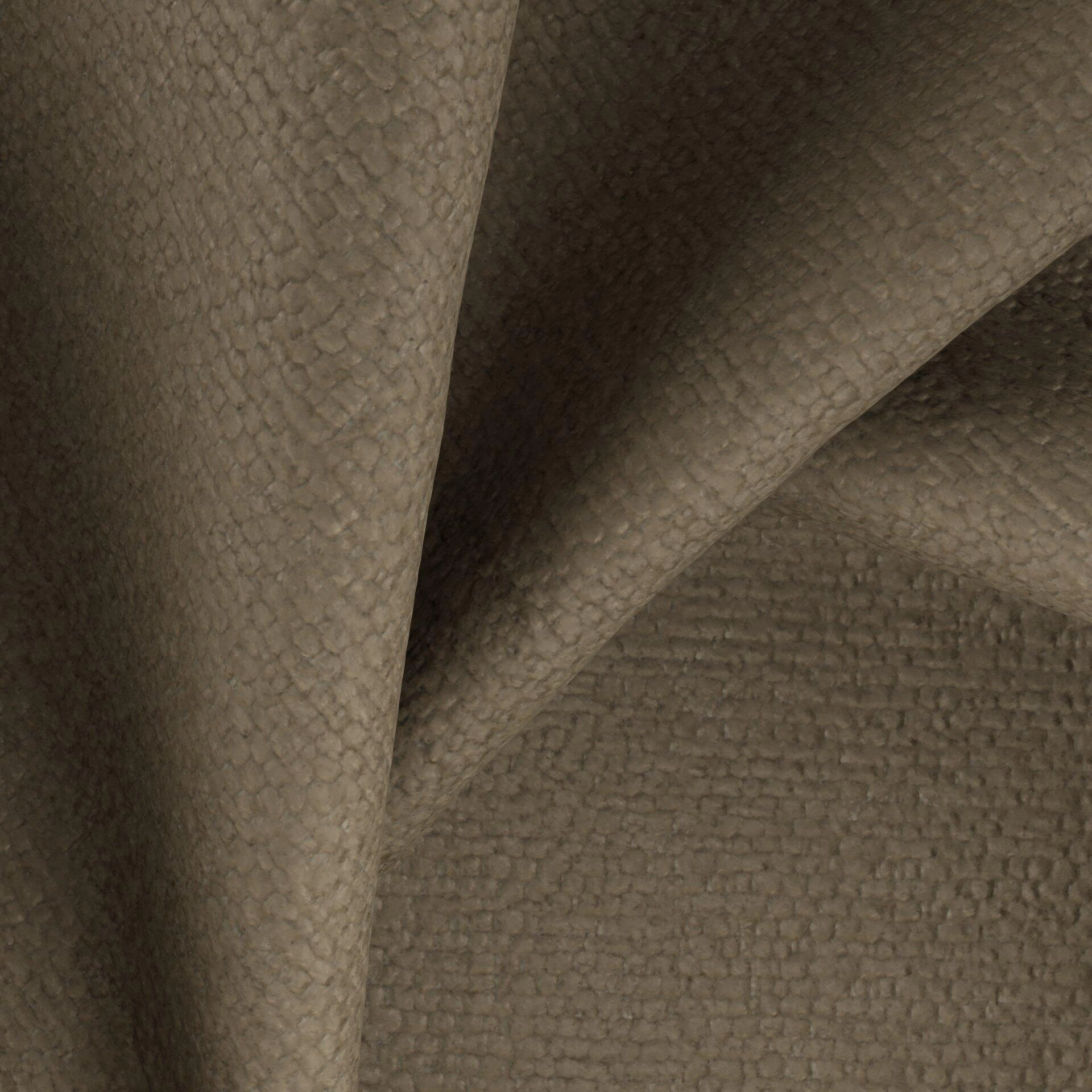 Harvard--07-Bark - 54746440426--CloseUp_TW_CU.jpg