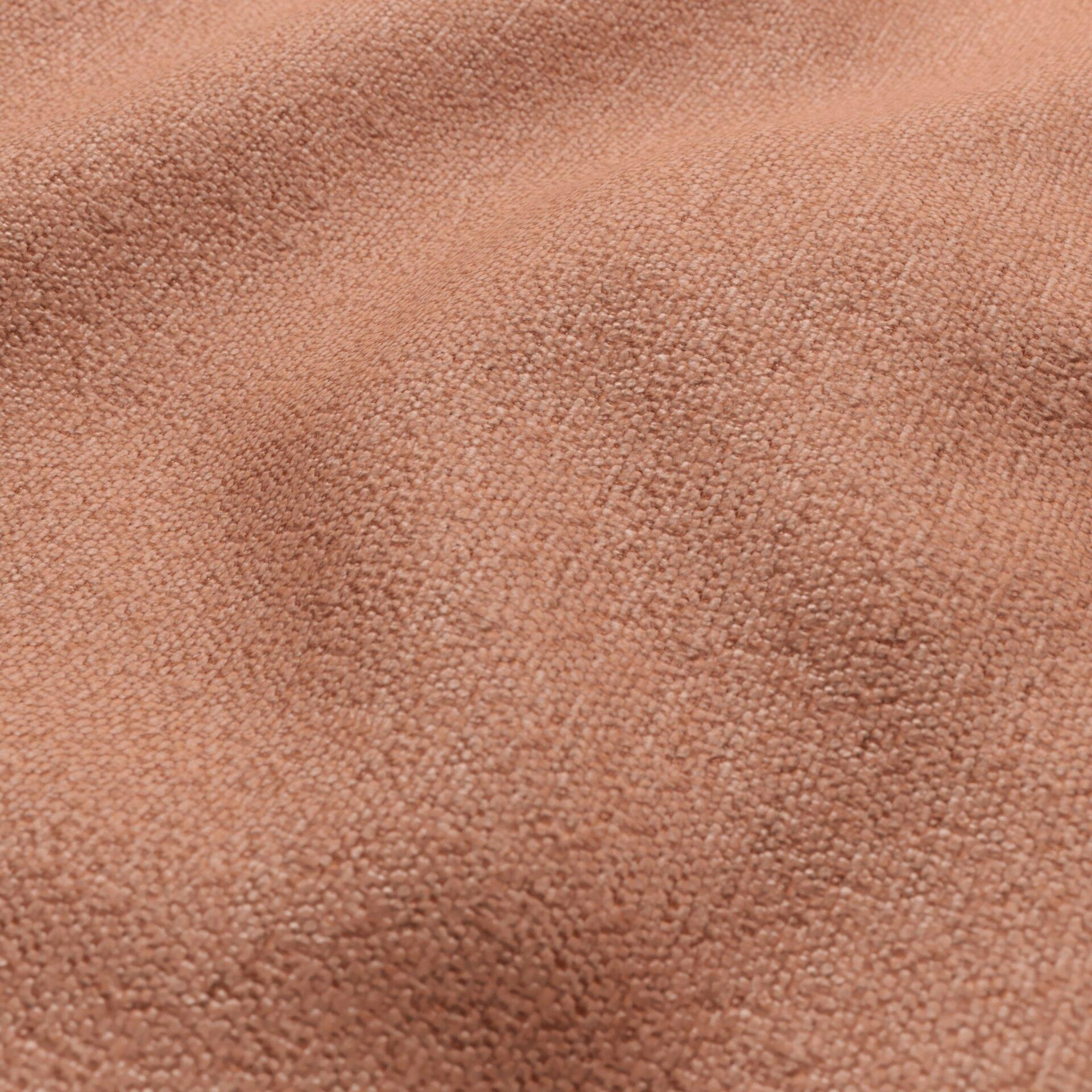 Harvard--20-Canyon - 54746448628--Wrinkeled_WR_CloseUp.jpg