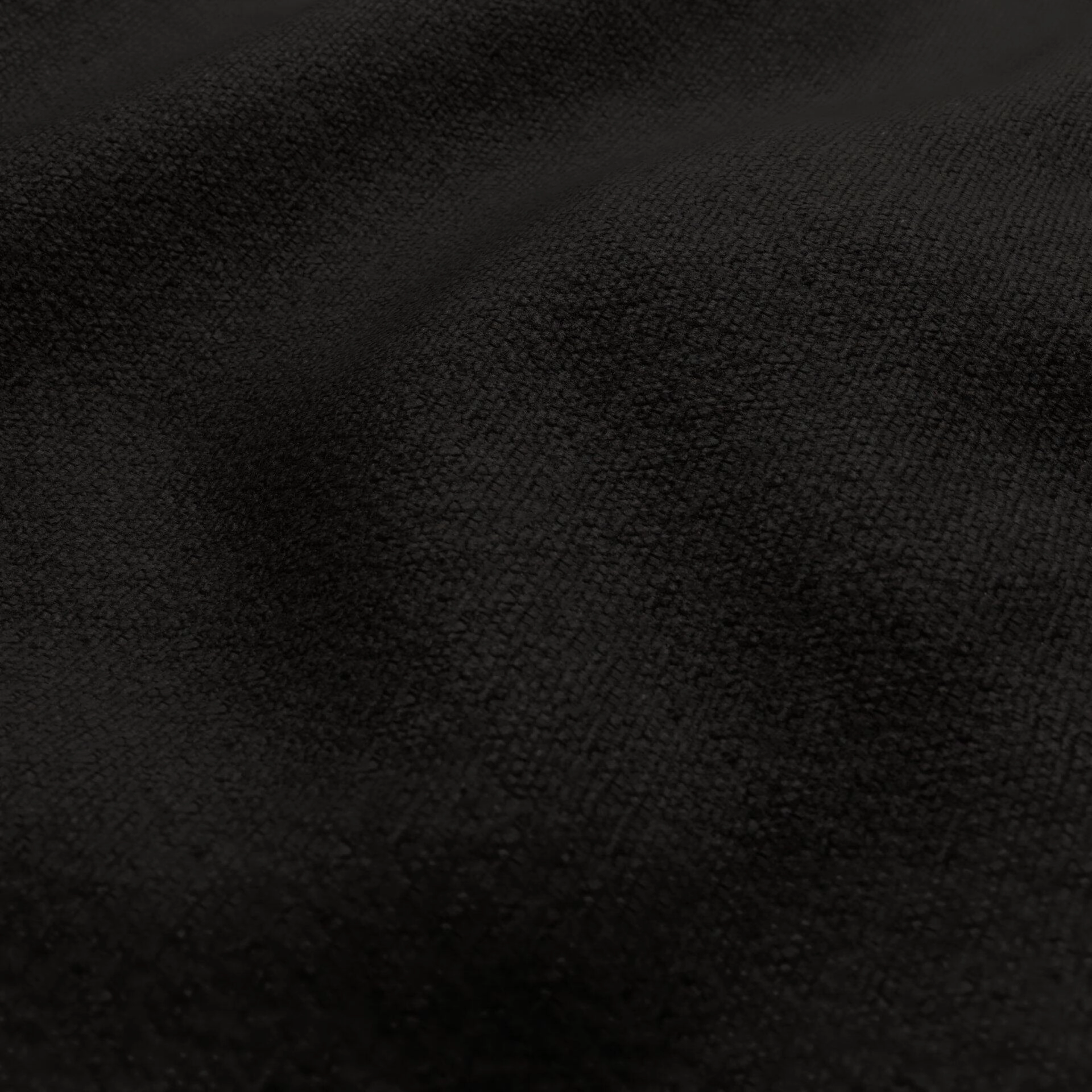 Harvard--08-Caviar - 54746442629--Wrinkeled_WR_CloseUp.jpg