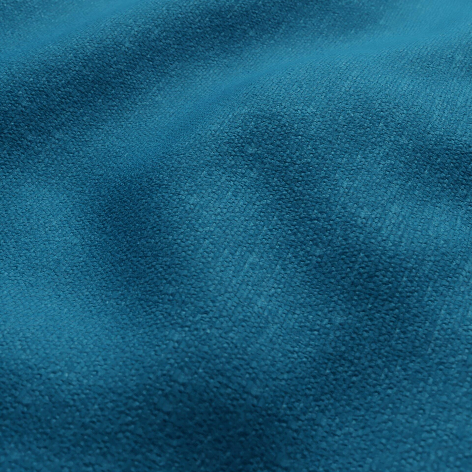 Harvard--18-Curacao - 54746463931--Wrinkeled_WR_CloseUp.jpg