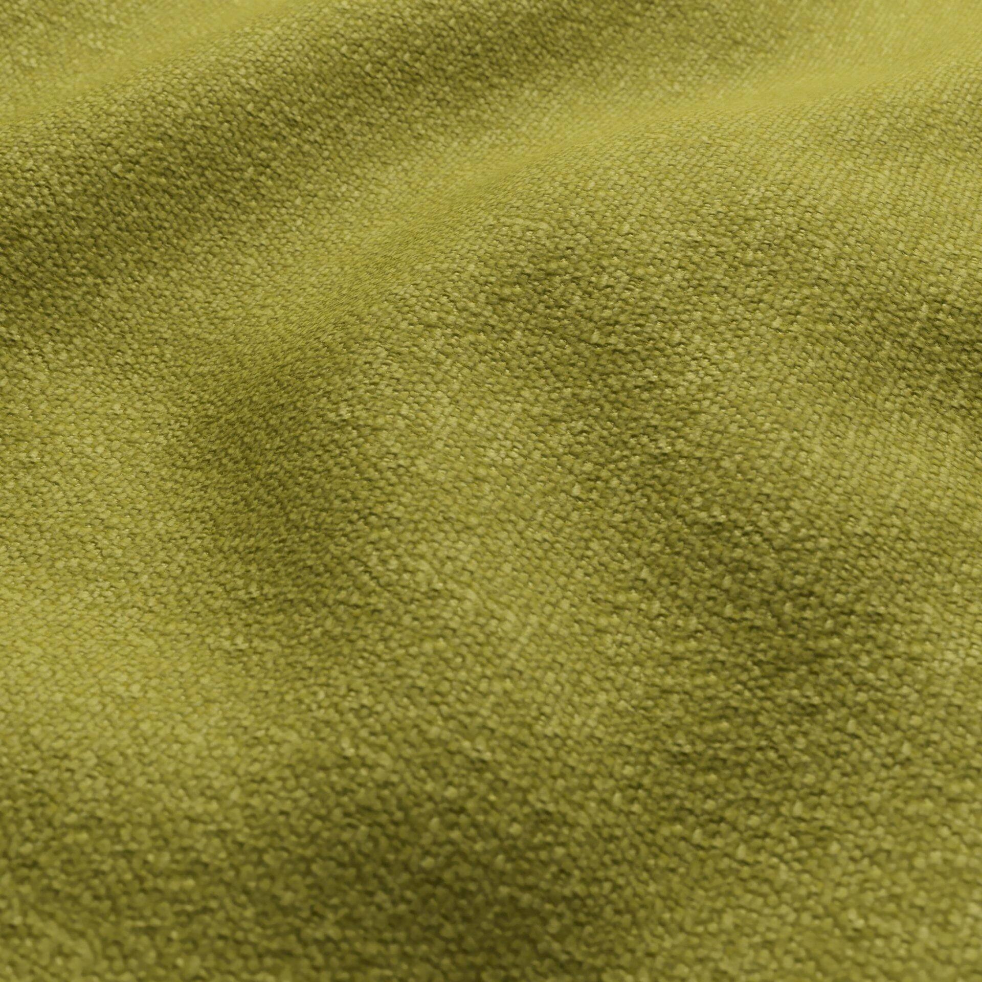 Harvard--13-Kiwi - 54746438434--Wrinkeled_WR_CloseUp.jpg