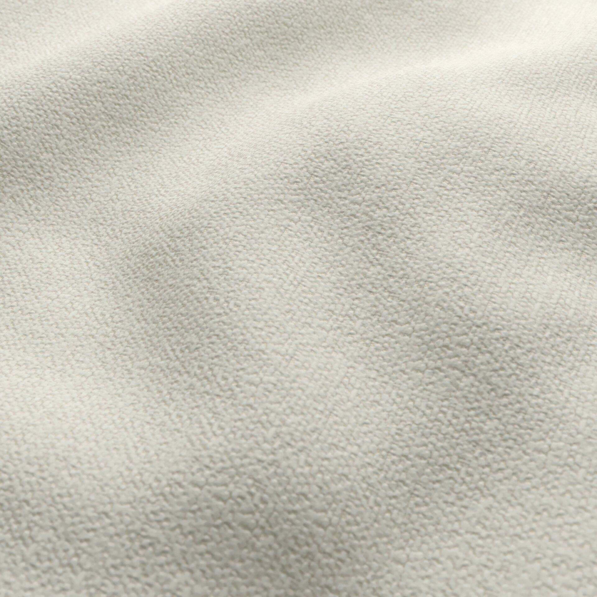 Harvard--03-Nougat - 54746490336--Wrinkeled_WR_CloseUp.jpg