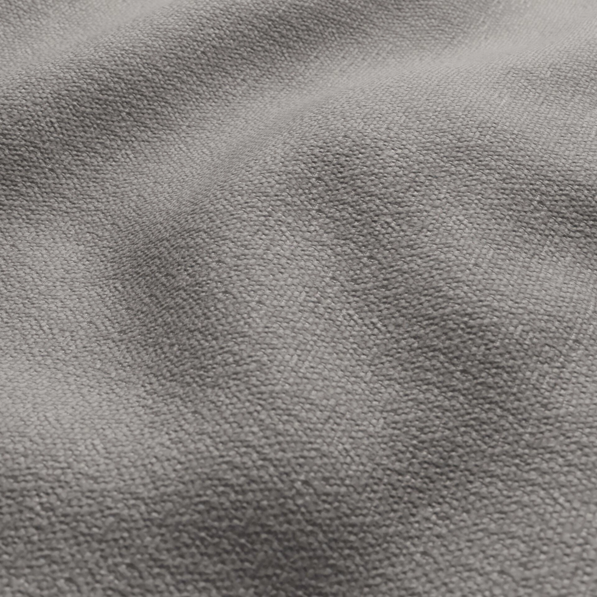 Harvard--09-Rabbit - 54746442237--Wrinkeled_WR_CloseUp.jpg