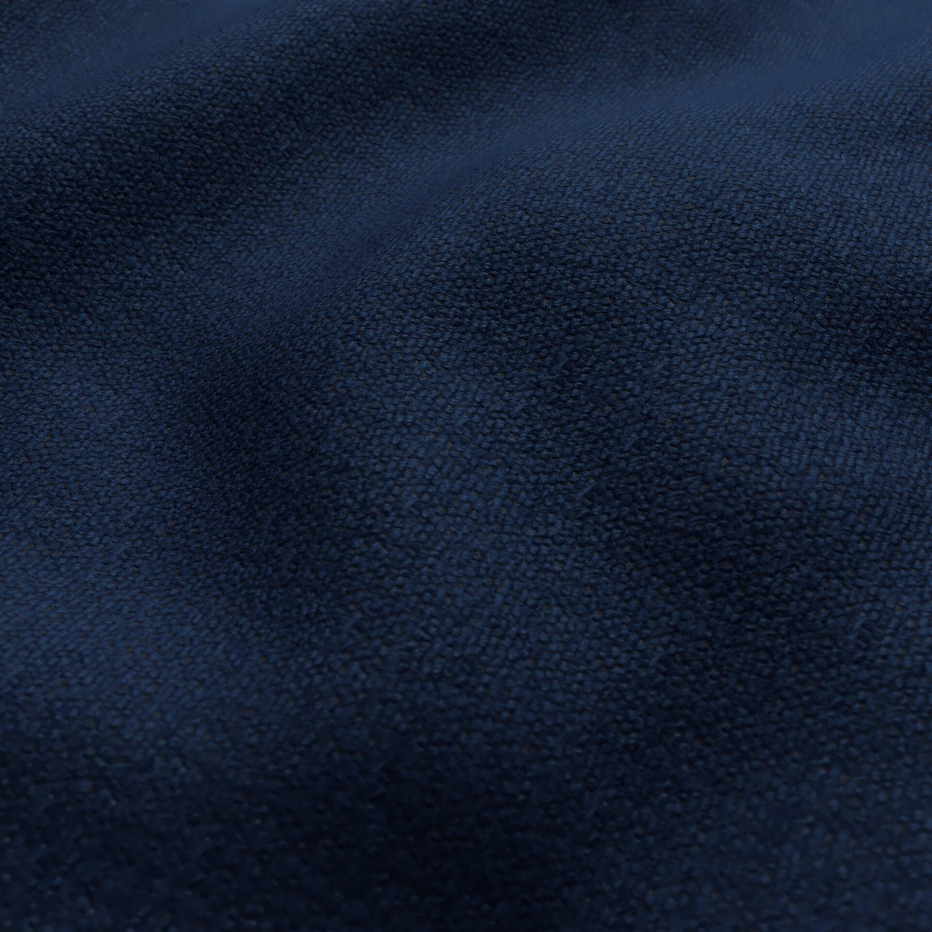 Harvard--16-Stellar - 54746465438--Wrinkeled_WR_CloseUp.jpg