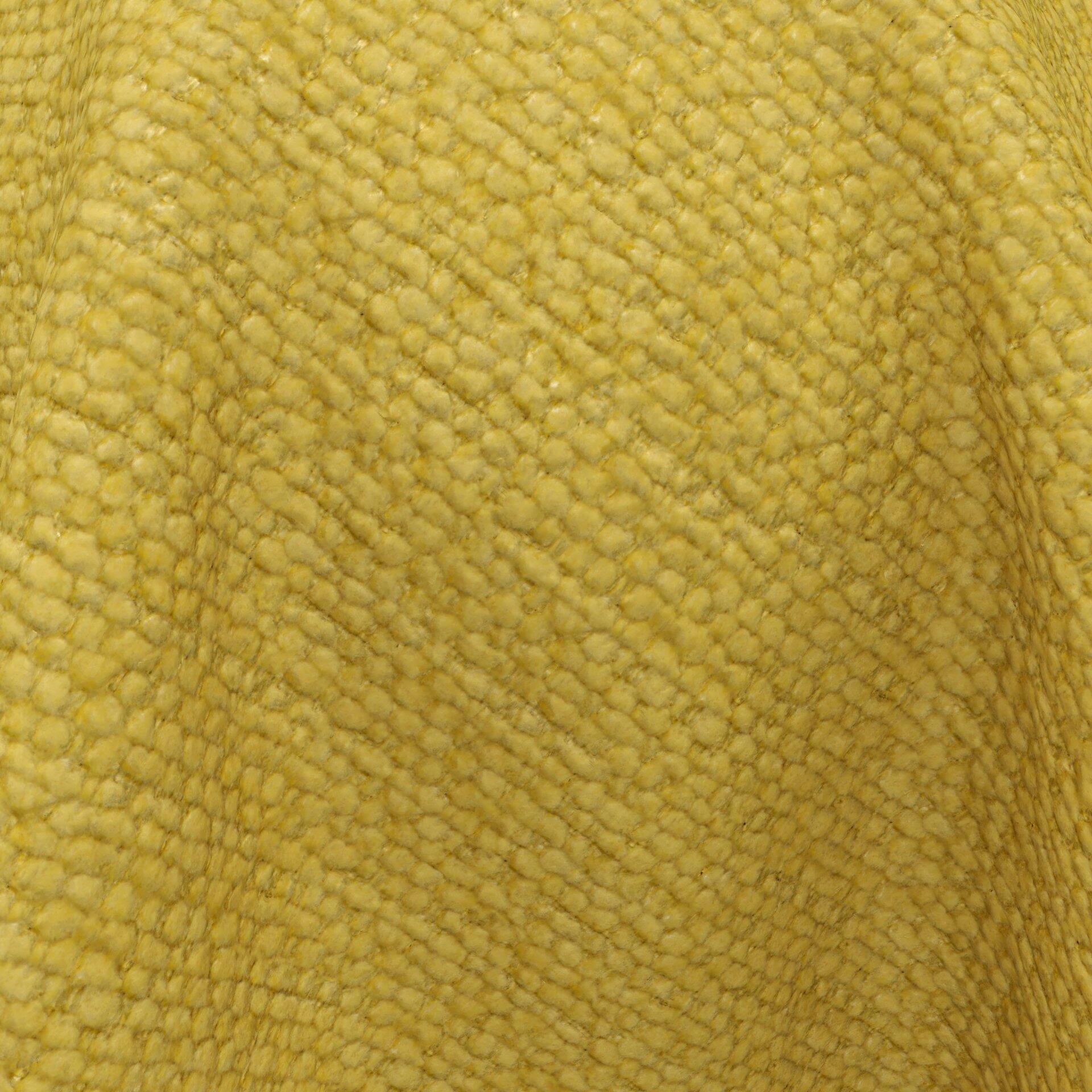 Harvard--12-Sunflower - 54746445839--CloseUp_BL_20_BL_20_CU.jpg