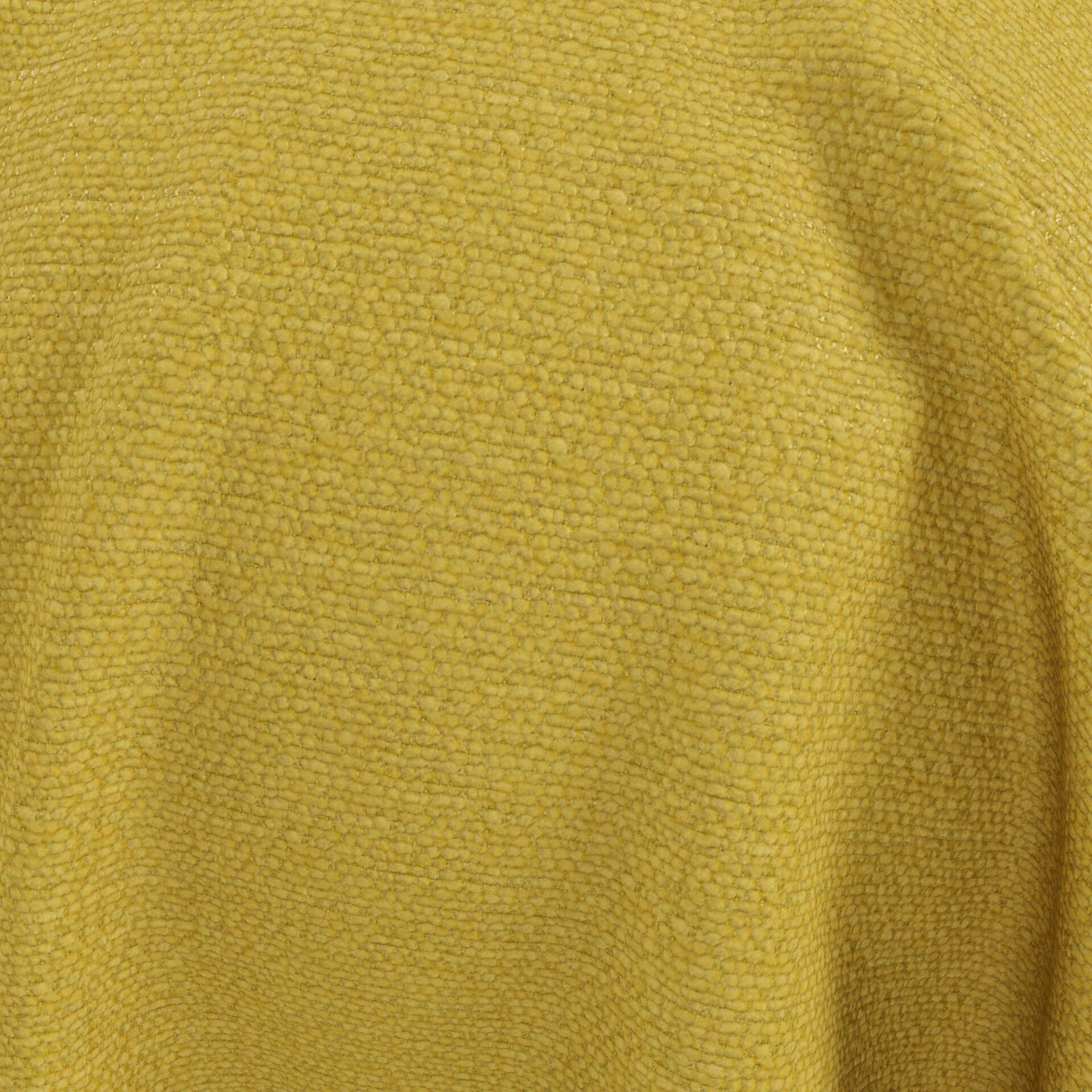 Harvard--12-Sunflower - 54746445839--CloseUp_BL_65_BL_65_CU.jpg