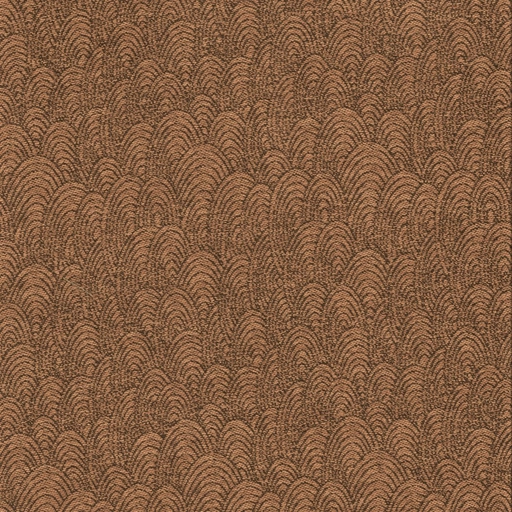 69b19944c78570565b7dd712.jpg