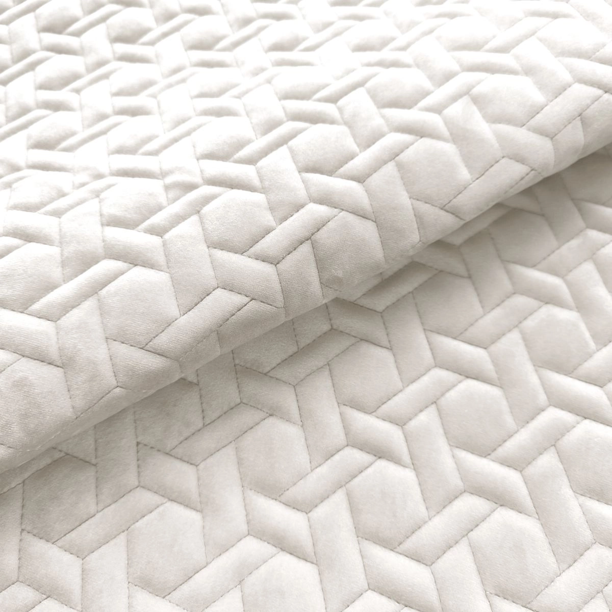 Paddington Bast 2-main
