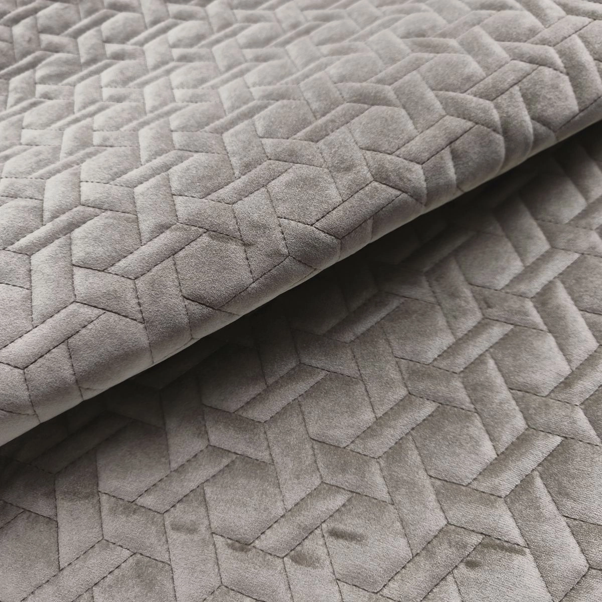 Paddington Bast 9-main