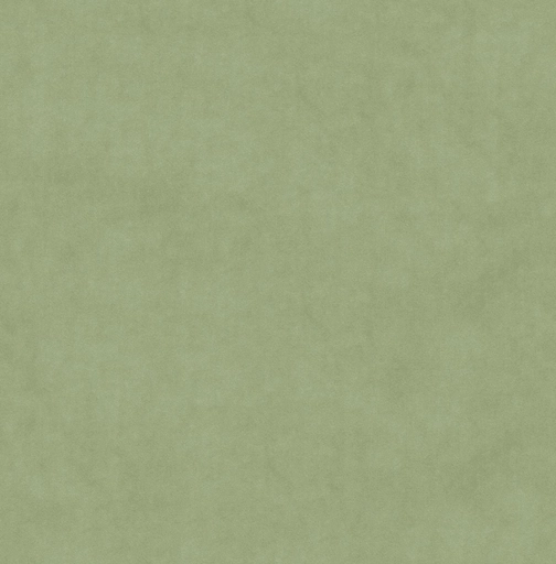 6a1568a017397aa64a2f4bec.jpg