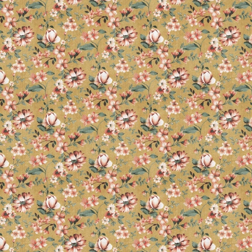6a156d8a17397aa64a2fc6f7.jpg