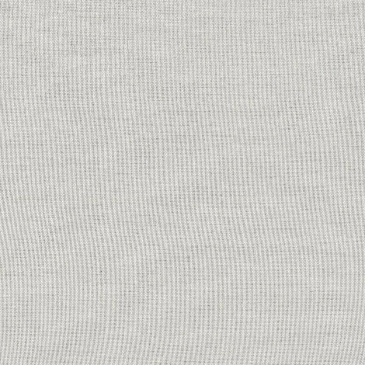 Papyrus 21-main