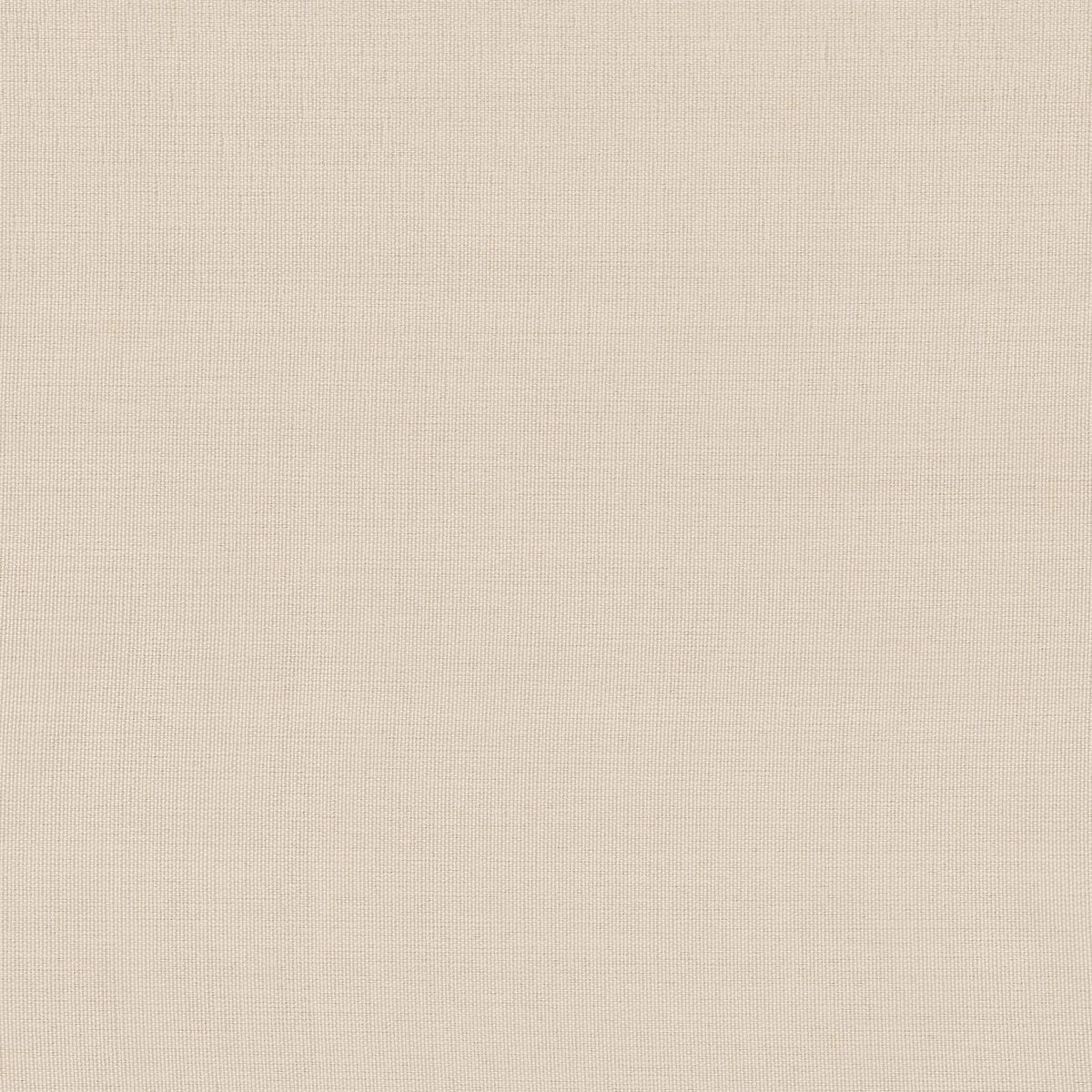 Papyrus 22-main