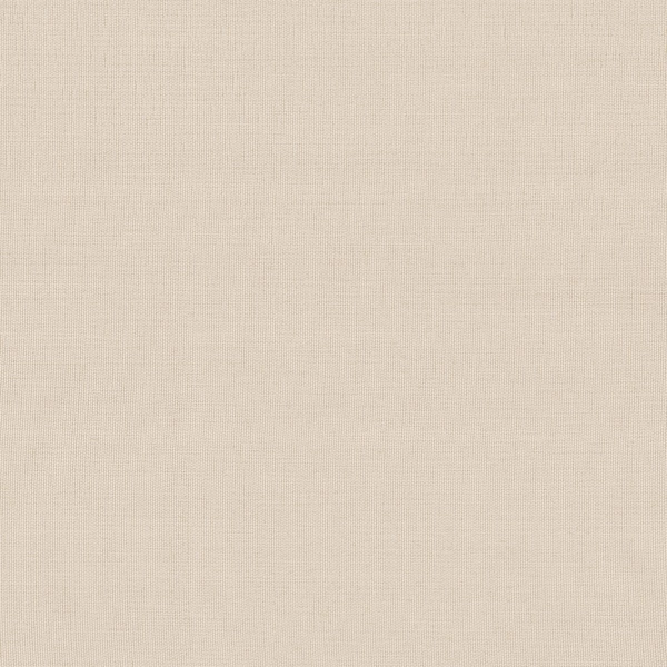 Papyrus 22-main