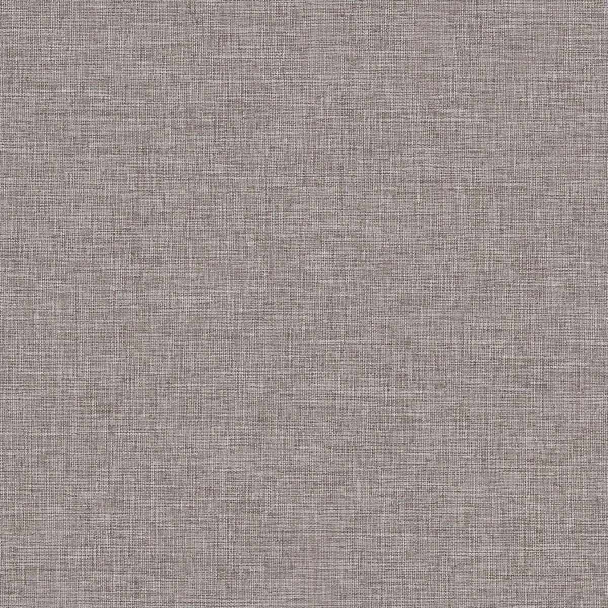 Papyrus 26-main