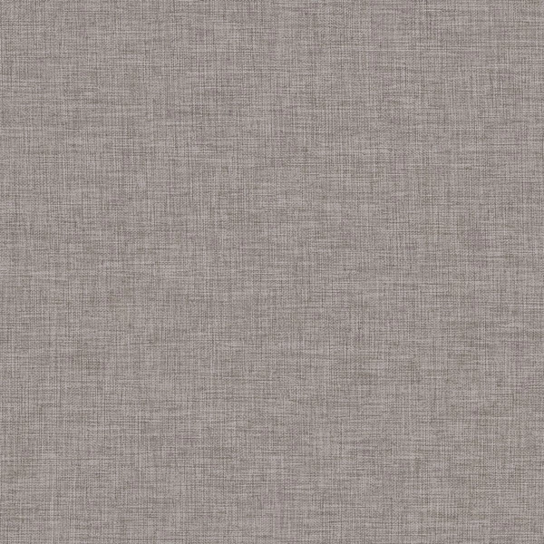 Papyrus 26-main