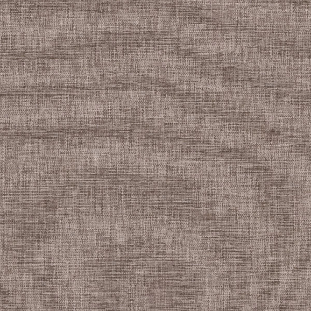 Papyrus 28-main