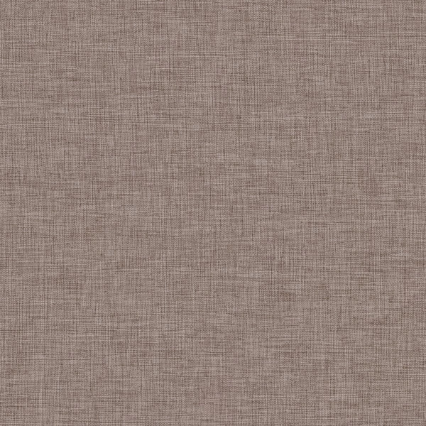 Papyrus 28-main