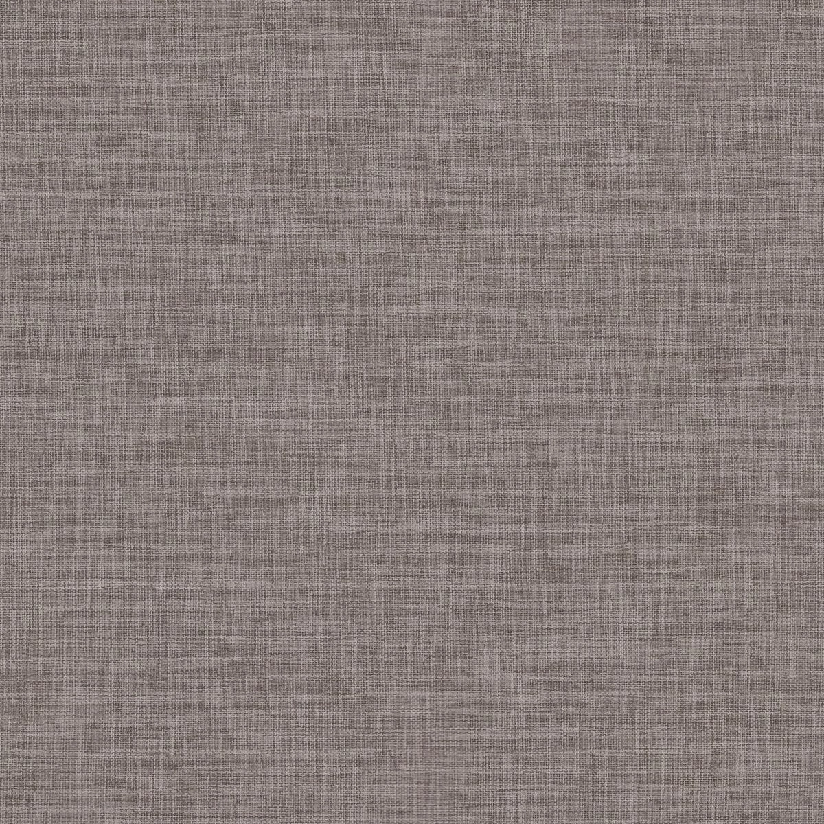Papyrus 211-main