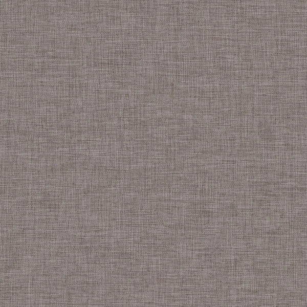 Papyrus 211-main