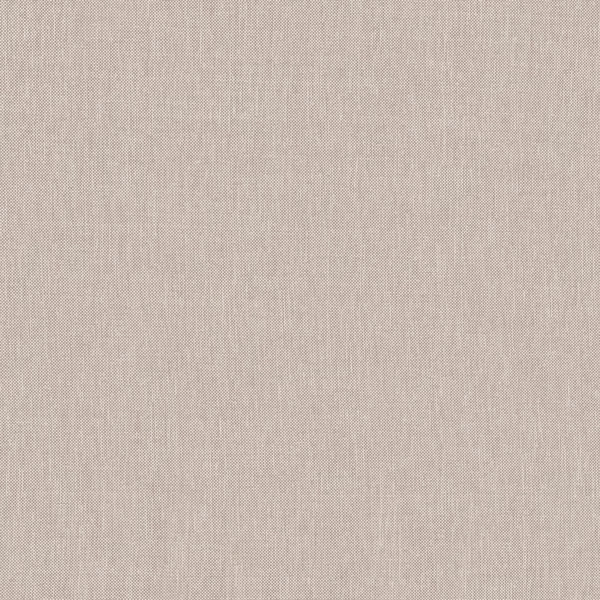 Papyrus 214-main