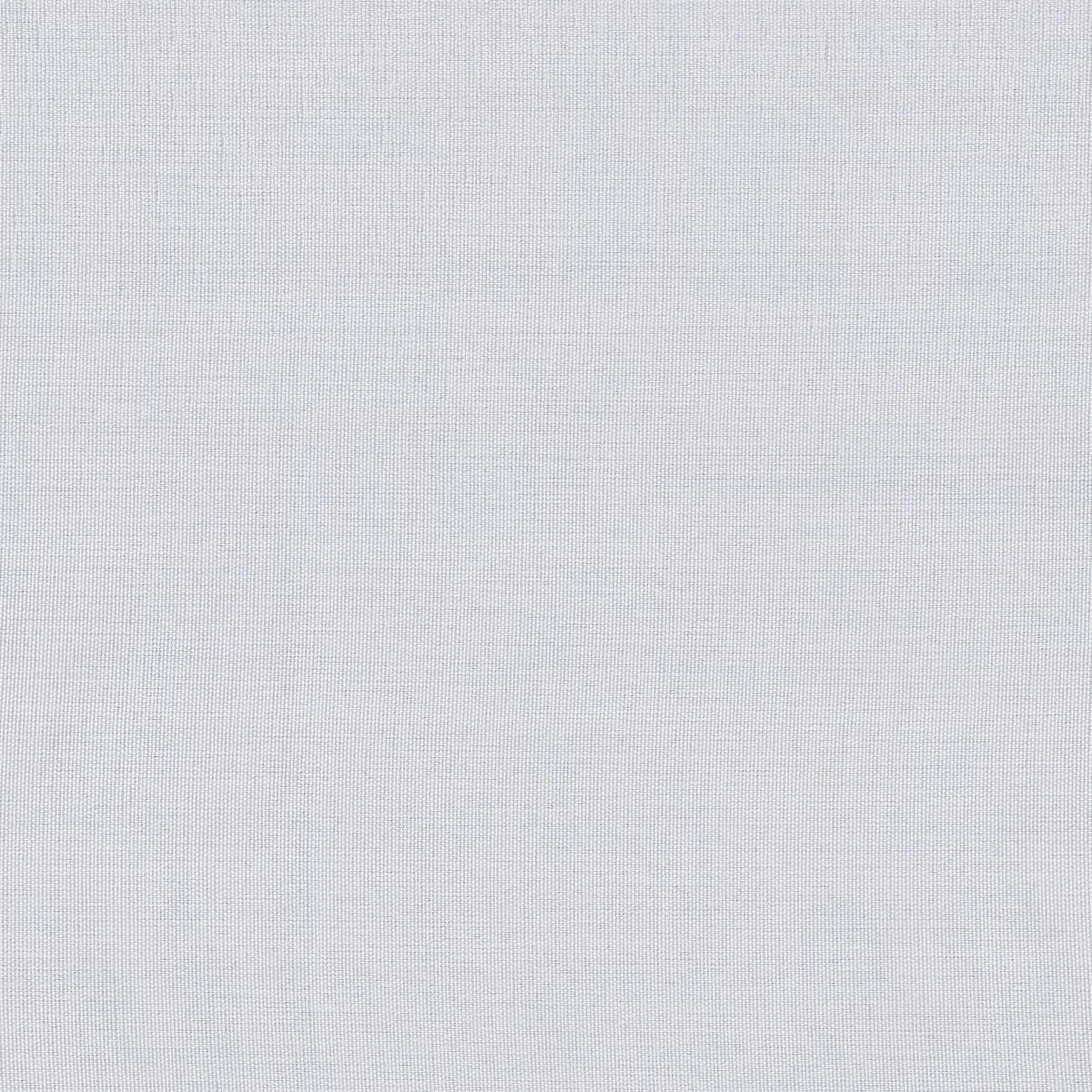 Papyrus 217-main