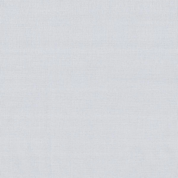 Papyrus 217-main