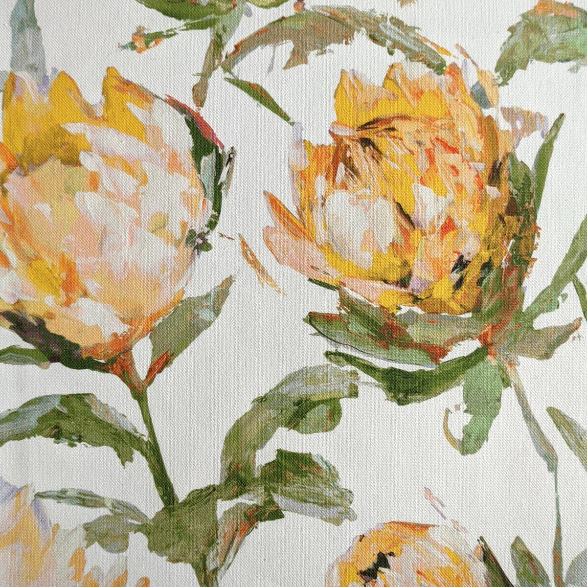 Constantia_05 yellow.jpg