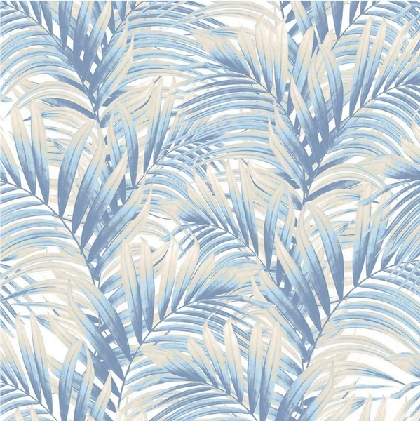Rainforest_03.jpg