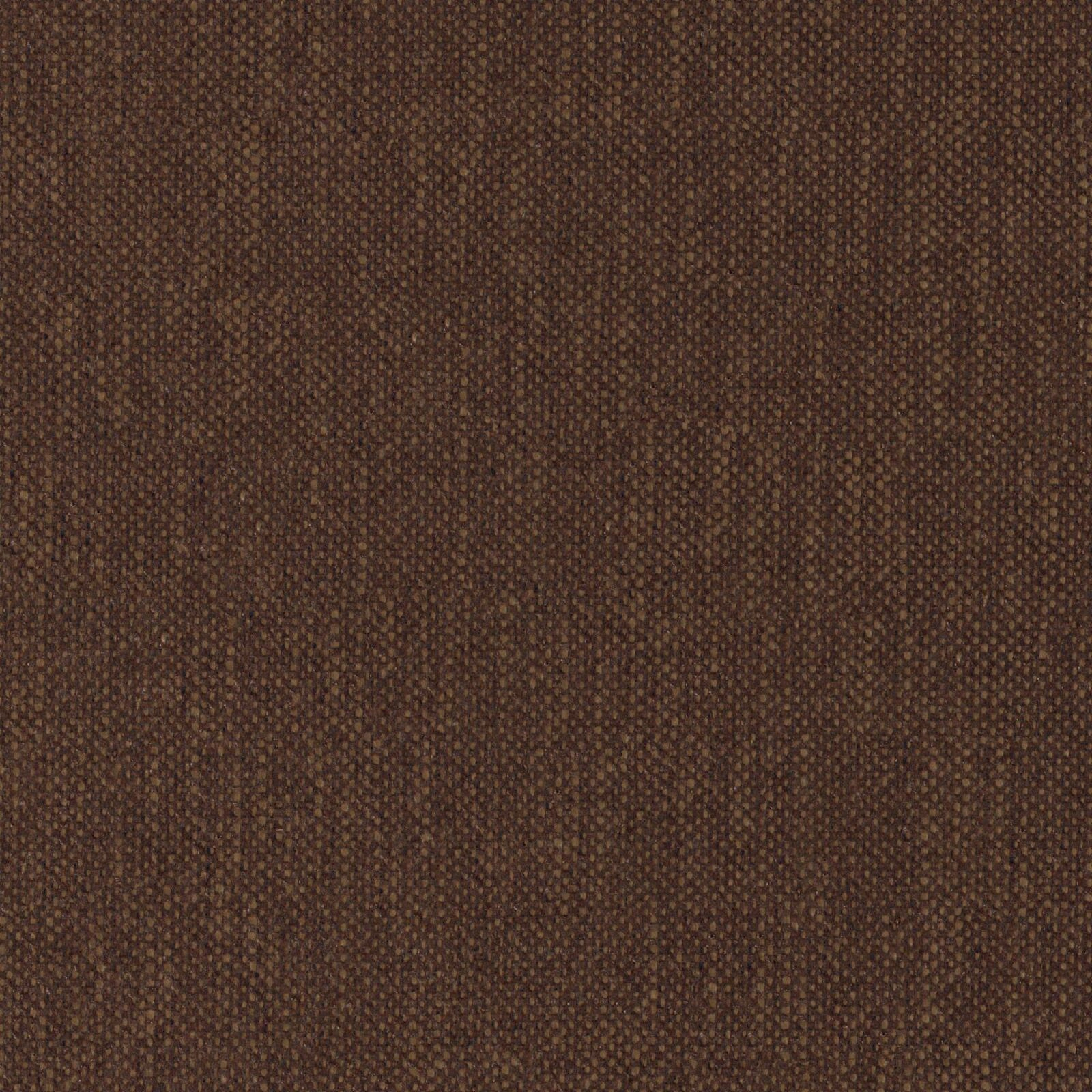Sionne_Cocoa_3280066_19.jpg