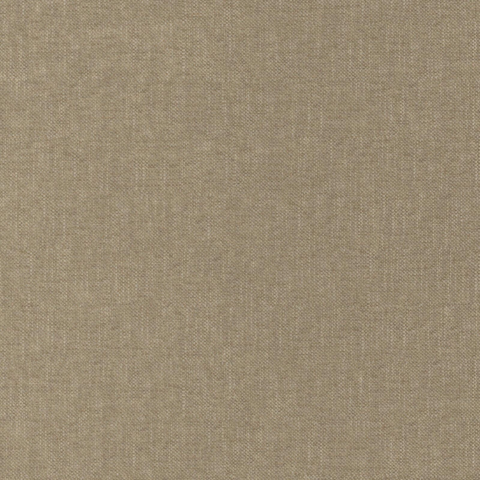 Sionne_Fossil_3280057_42.jpg