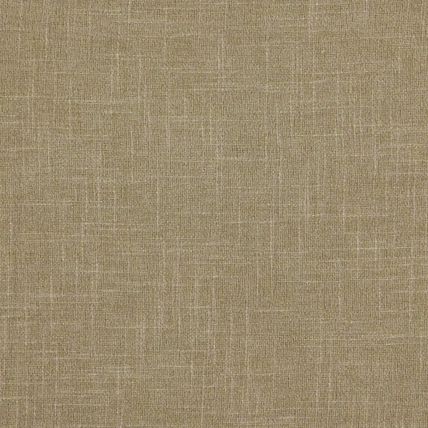 328_Sionne_63_Vion_Oatmeal.jpg