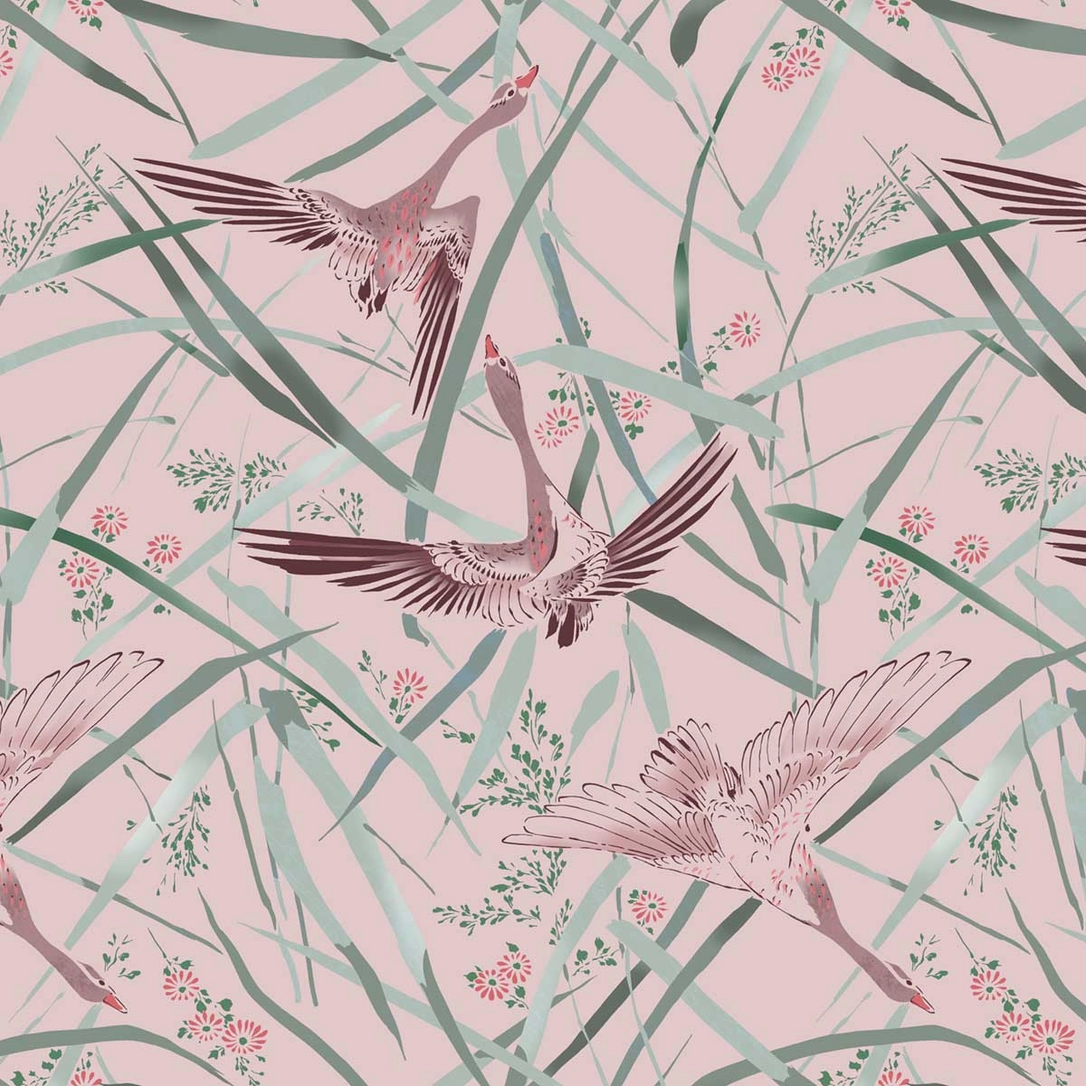 Goose_Chase_Blush.jpg