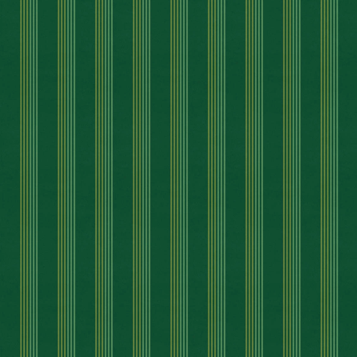 Rhythm Young Green1.jpg