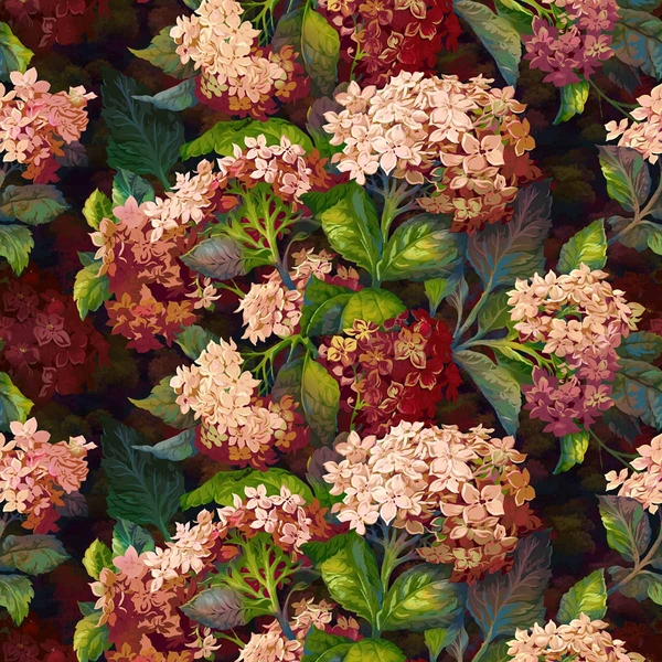 Hortensia_Gaudy.jpg
