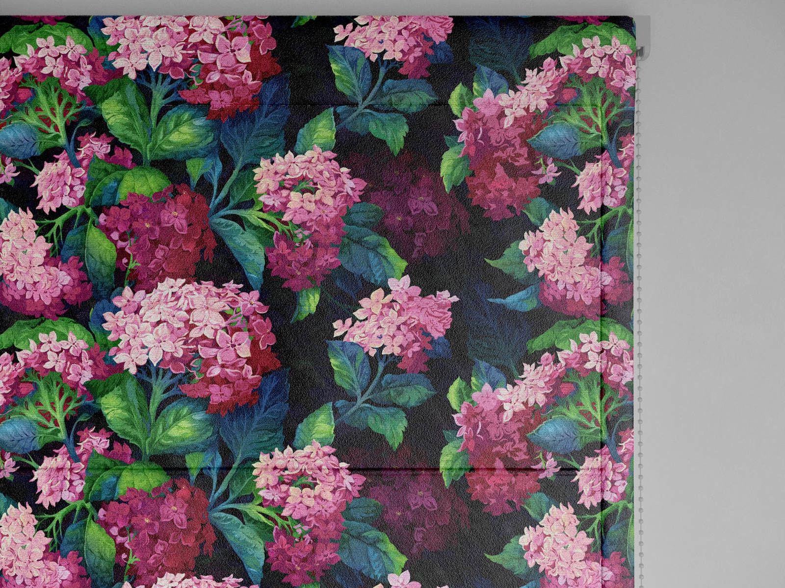 Hortensia_Gipsy_DL3_2.jpg