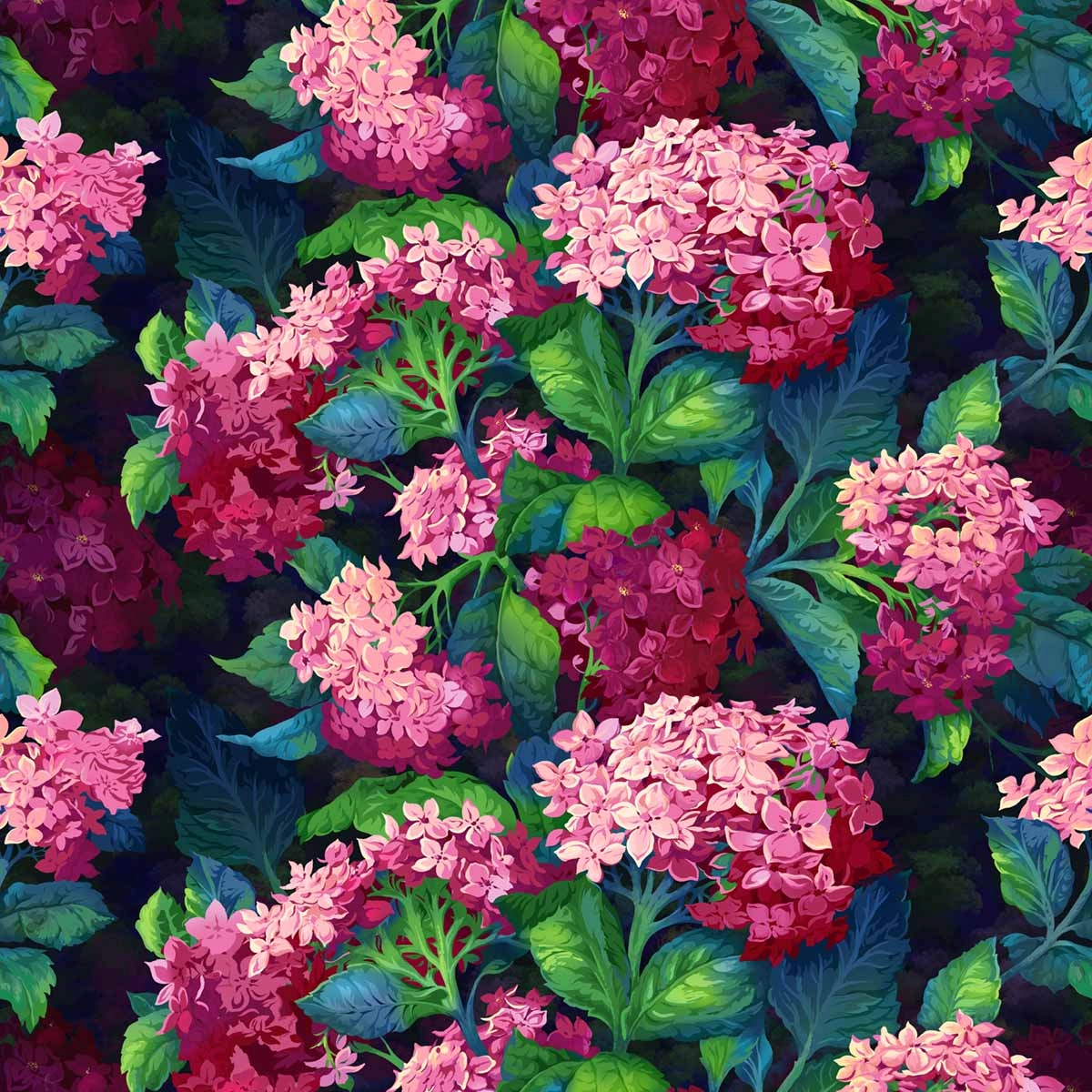 Hortensia_Gipsy.jpg