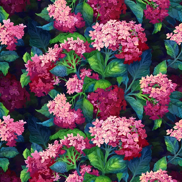 Hortensia_Gipsy.jpg
