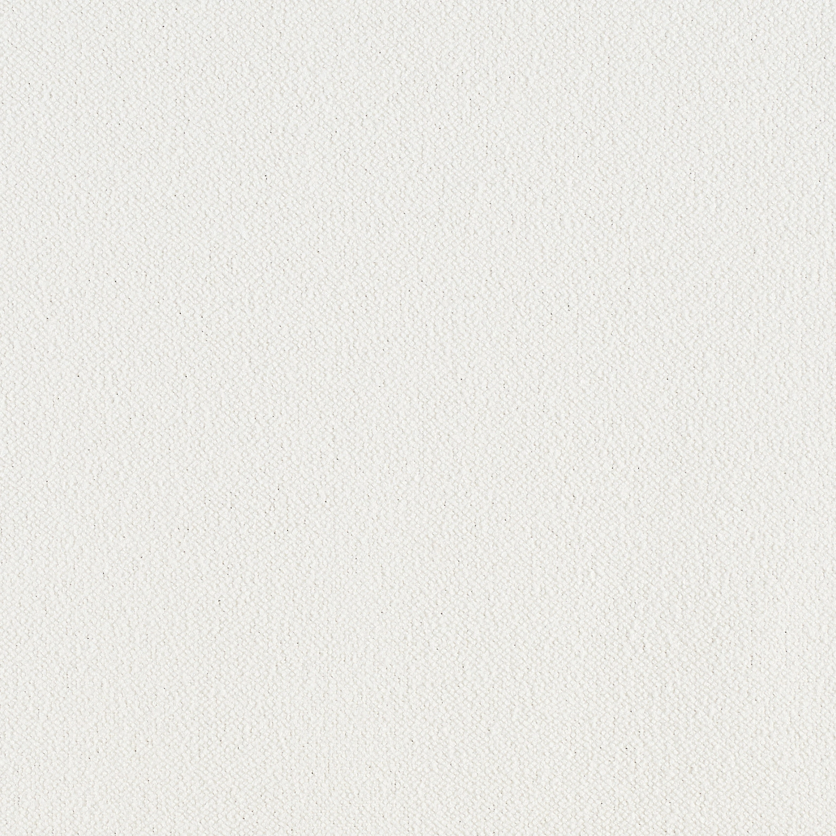 sepia 100_crop_web.jpg